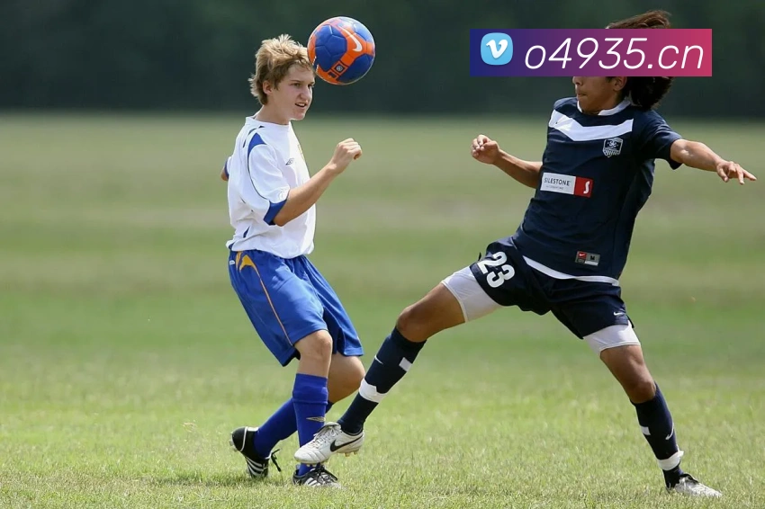 App Interface Preview