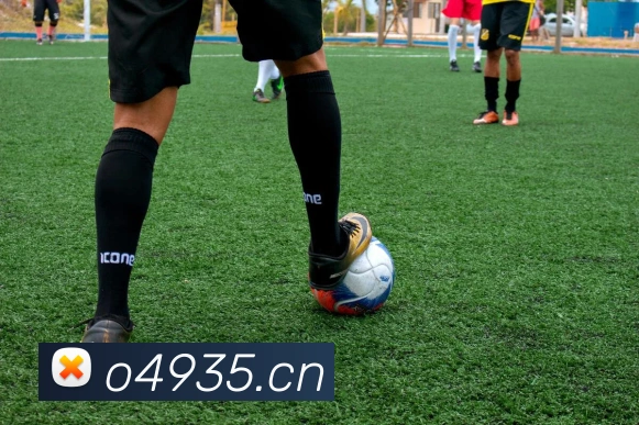 爱游戏官网APP 封面图